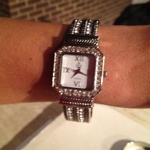 Premier Jewelry Watch ~