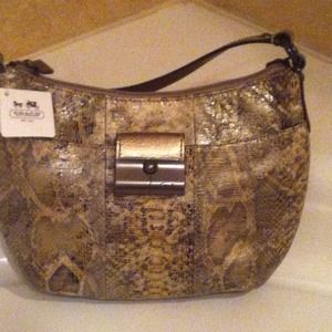 NWT Coach limited Ed. Snake print bag