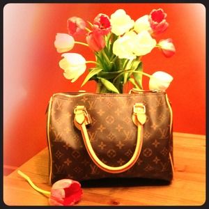 Louis Vuitton inspired speedy handbag