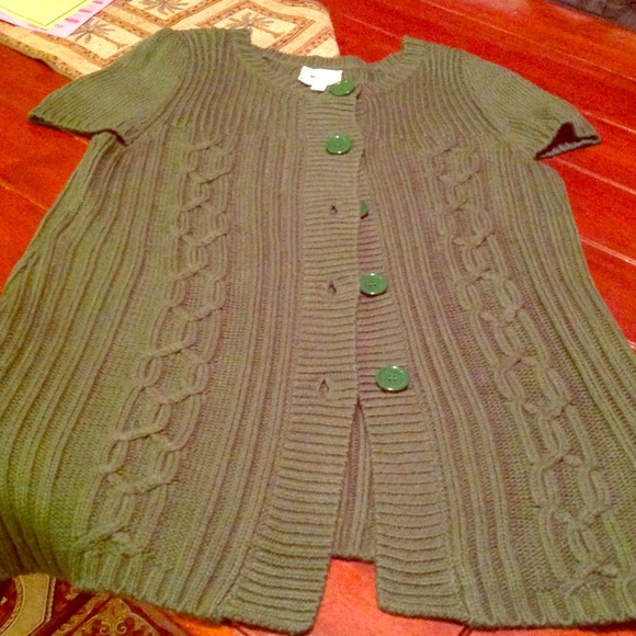 Emerald green cap sleeve tunic sweater vest. BNWT!