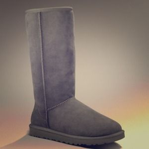 Brand New/In Box Gray Classic Tall Uggs (W7)