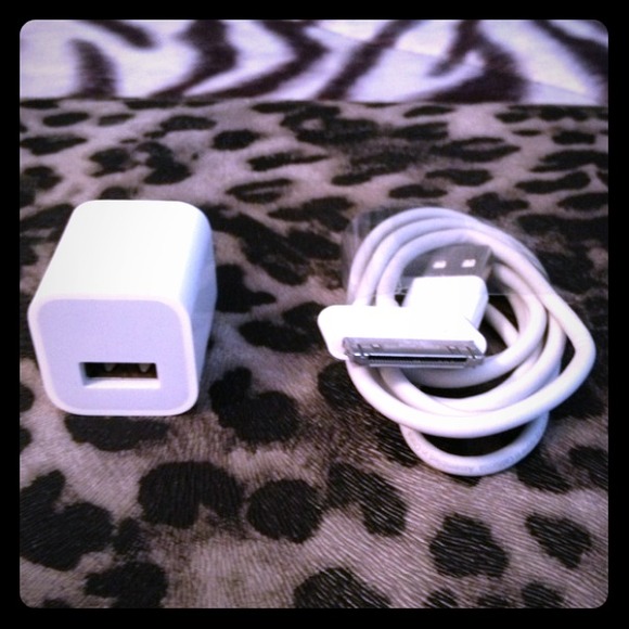iPhone Charger