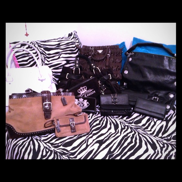 Juicy, Coach, Prada, Aldo - Picture 1 of 1