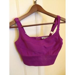 Purple bustier never worn w/o tags