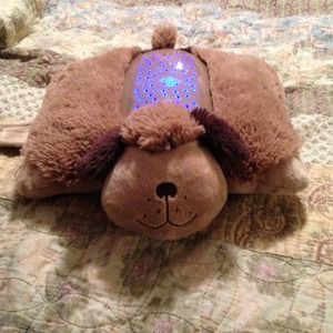 Dreamlite dog