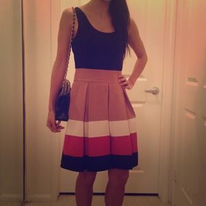 Zara colorblocked skirt
