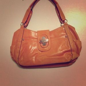 Liz&co hot spring handbag