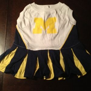 Michigan dog 🐾cheerleader 🎉 dress!