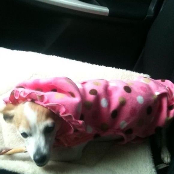 On my way to ship packages with mommy!