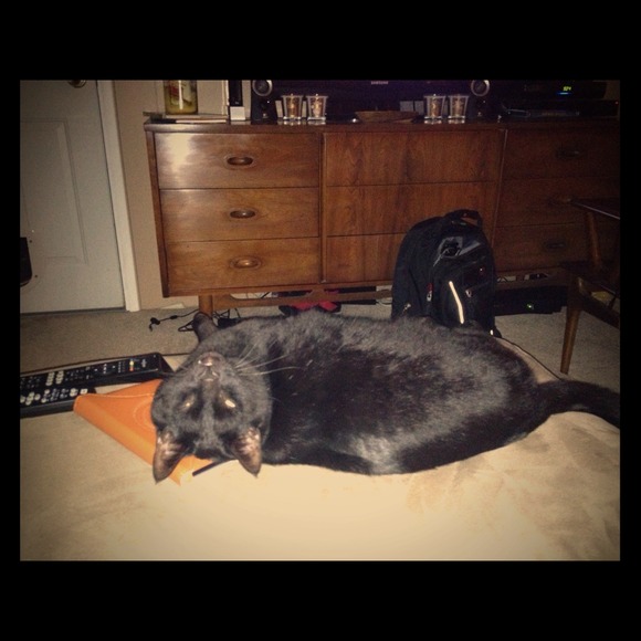 Shadow says check out my closet! ; )