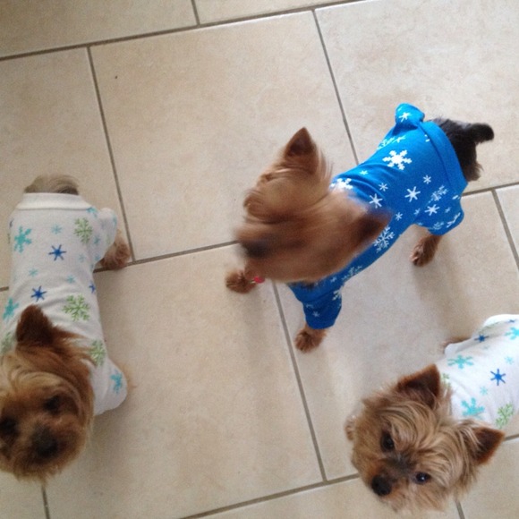 ::::::::meet the seller::::::::: - Picture 2 of 4