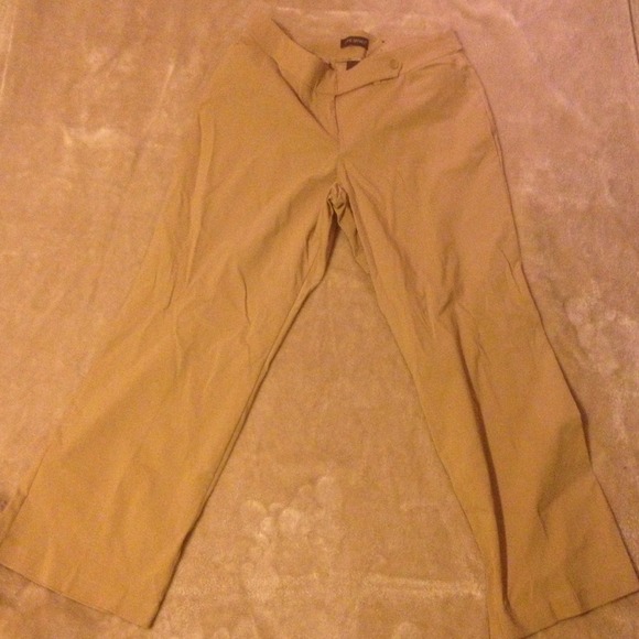 ❌Sold Lane Bryant dress pants
