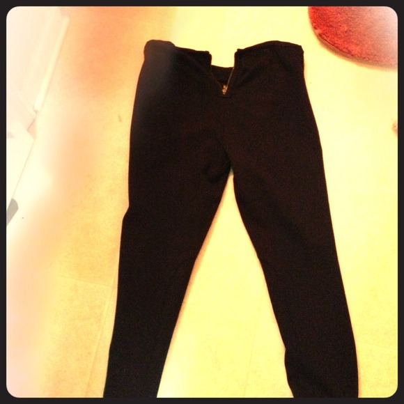 J. Crew riding pants