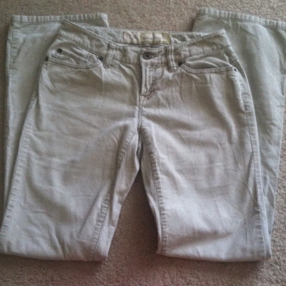 Ann Taylor LOFT Corduroy Boot Cut Pants