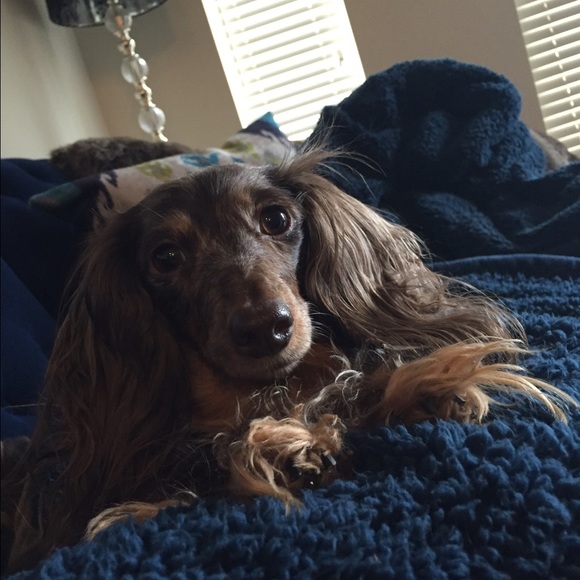 Meet Your Seller - Picture 4 of 4