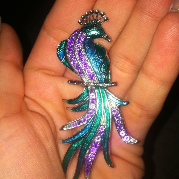 🚫SOLD🚫peacock pin