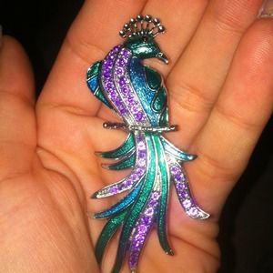 🚫SOLD🚫peacock pin