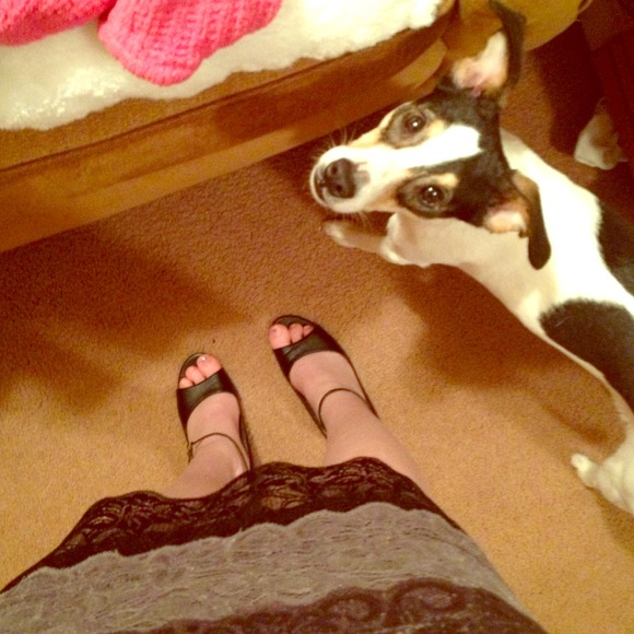 BRAND NEW black lace mini bodycon