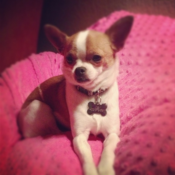 ************* MEET THE SELLER ************* - Picture 4 of 4