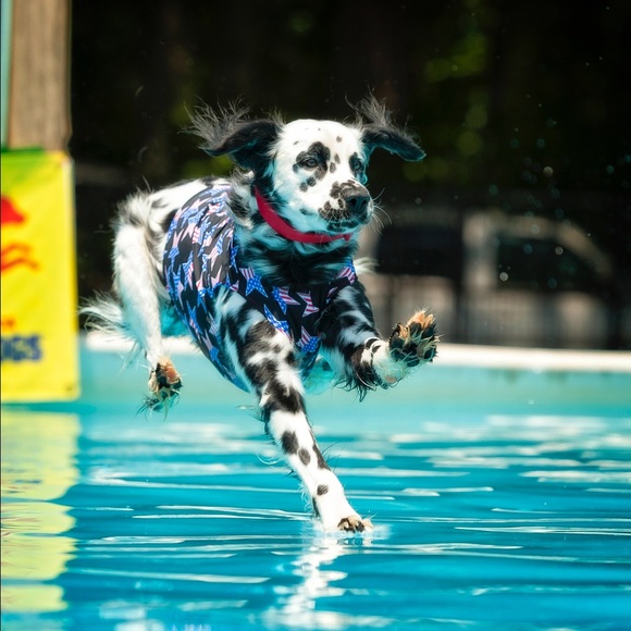 Meet your seller X💋X💋 - Picture 4 of 4