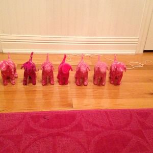 Victoria secret dogs