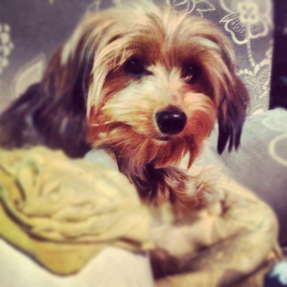 Meet the seller!! - Picture 2 of 4