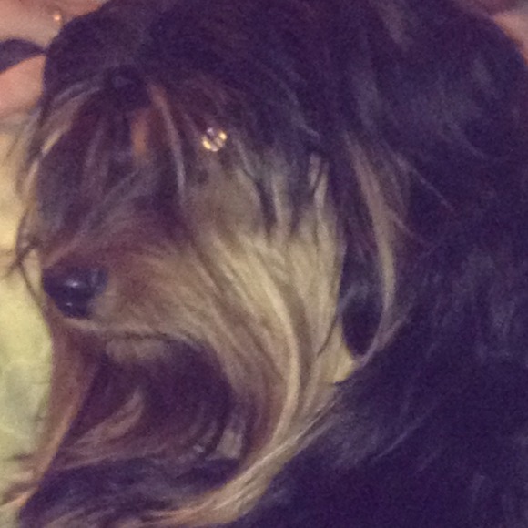 Meet the seller!! - Picture 3 of 4