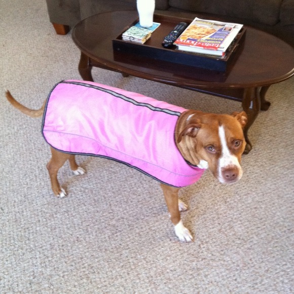 Pink reflective dog coat