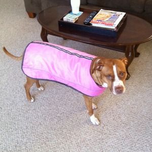 Pink reflective dog coat