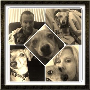 ❤My Family❤