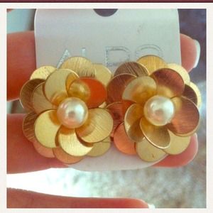 **BUNDLE** scarves and earrings