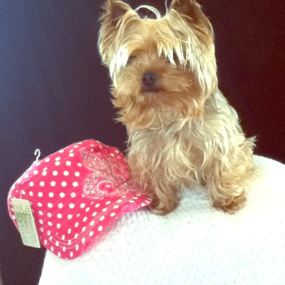 Bling Fleur De Lis Cap