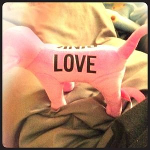 victorias secret dog purple