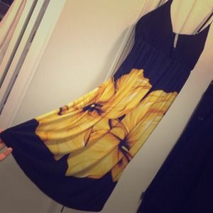 Bundle for @donnasommer