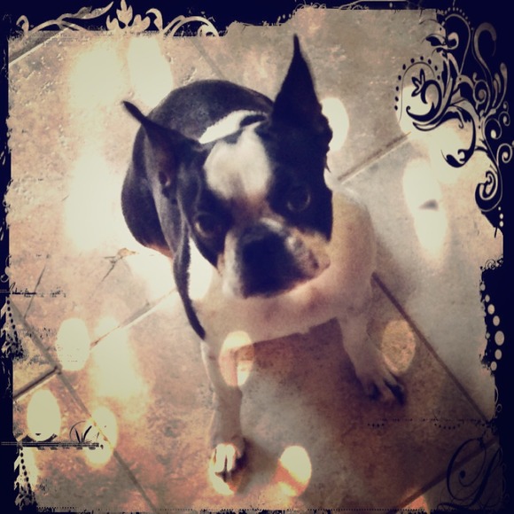 ** NOT FOR SALE ** just sharing Mommies lil girl
