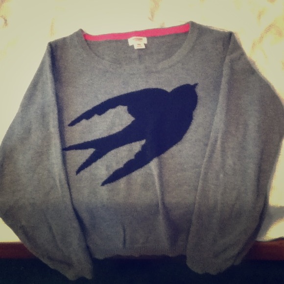 Gray Cropped Pullover with Bird