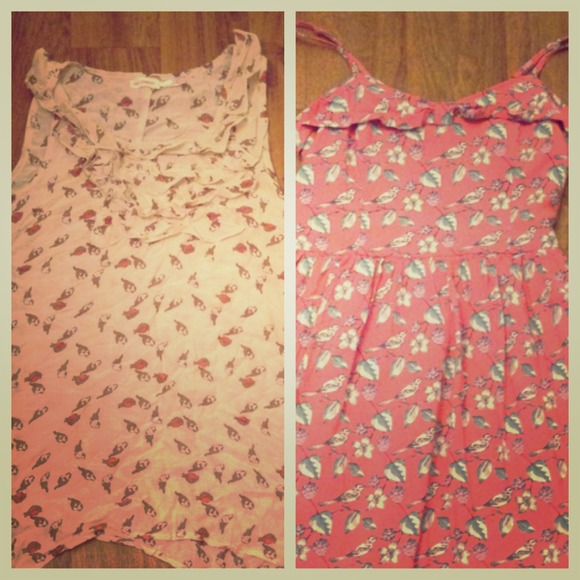 Bundle for Trishycat