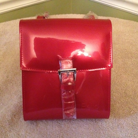 🌺Reduced🌺Beijo Crossbody Purse