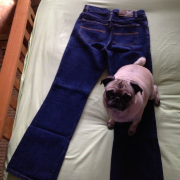 Express Jeans - Picture 2 of 4