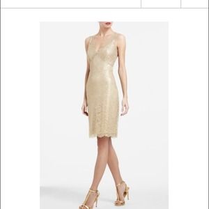 REDUCED! BCBG  Lynette Metallic Lace Dress
