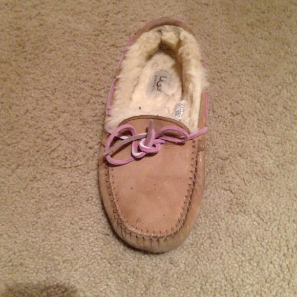 Uggs 🐶