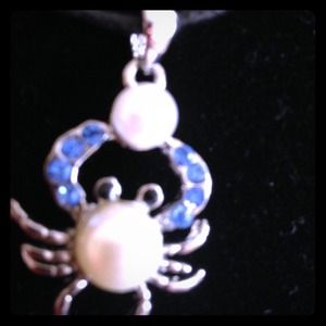 Crab with blue stones on a black rope