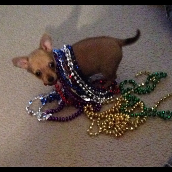 My little diva, Lily.