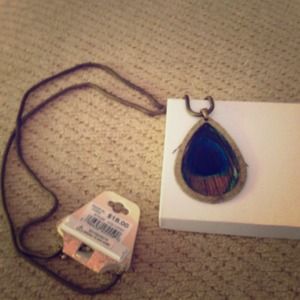 🎉TRADED🎉Peacock necklace