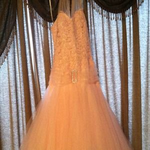 Prom dress / evening dress