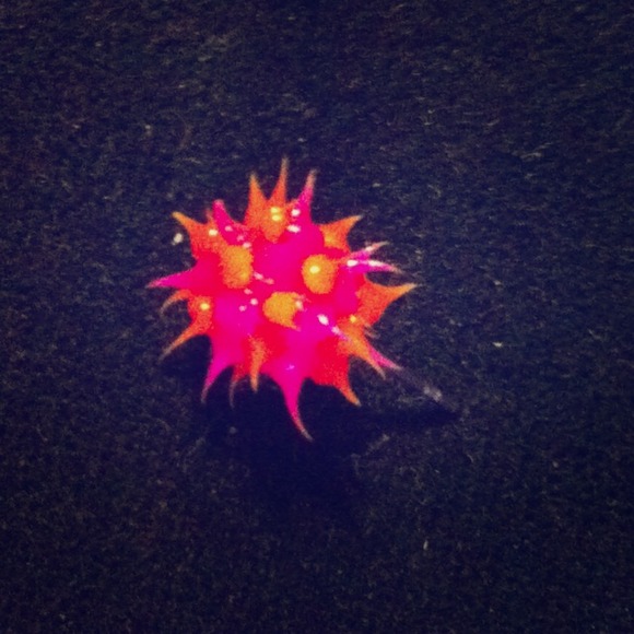 Stud Earring