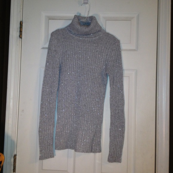 Medium sparkly silver turtle neck