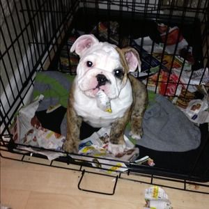 Mi familia ❤ Meet the seller!!!