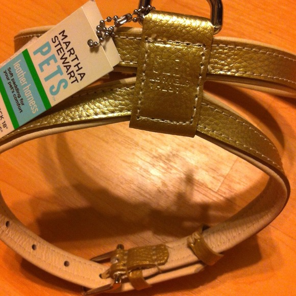 Martha Stewart pets leather harness sm
