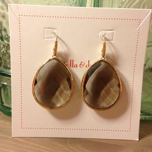 Serenity Stone Drop Earrings! stella & dot